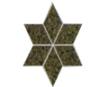 Asharee Stone Tile